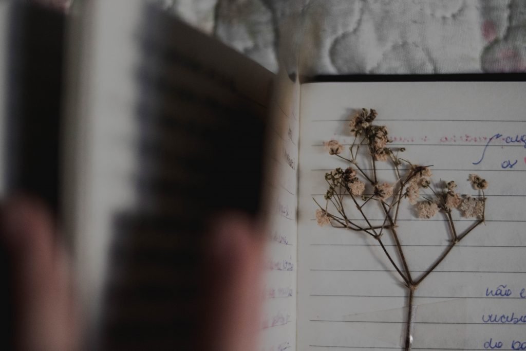 colagem de flores em cadernetas